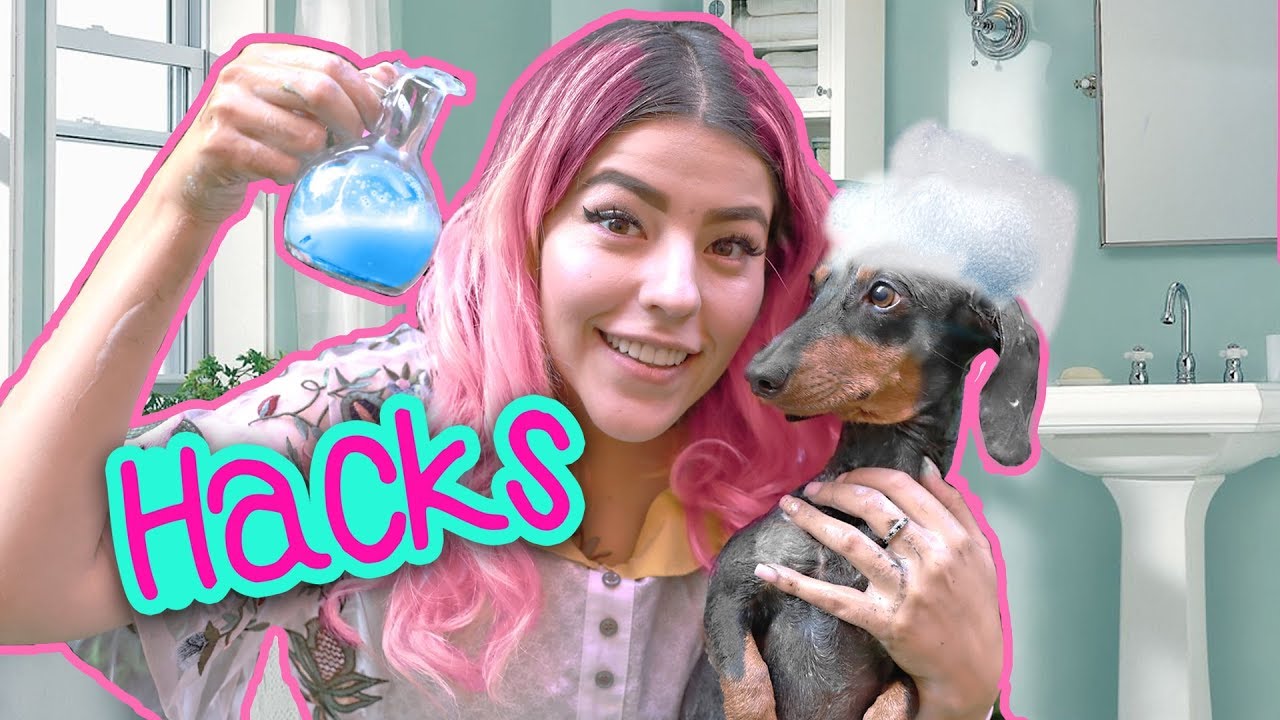 DOG HACKS | MUSAS LESSLIE LOS POLINESIOS