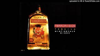 TEQUILA (MINT ROYALE REMIX) / TERRORVISION