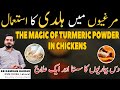 Use of haldi turmeric powder in chickens  cheap treatment for 10 problems of chicken  dr kamran