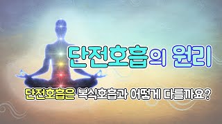 단전호흡 원리2 - 단전호흡과 복식호흡의 차이