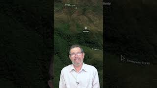 Examples of grasslands turning into forests