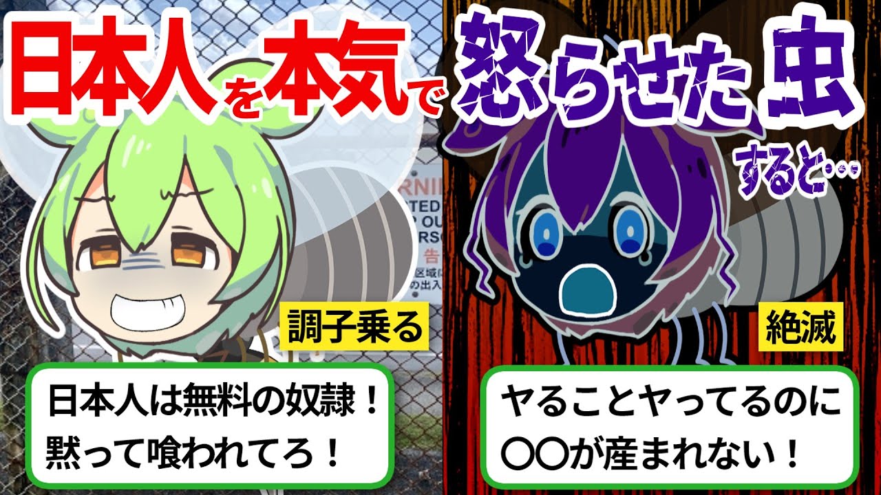 【実話】8ミリの悪魔と呼ばれた虫→日本に来て後悔…日本人を本気で怒らせた結果ｗ