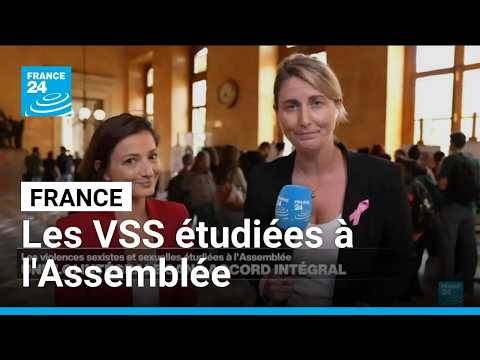 Violences sexistes et sexuelles : une loi intégrale sans accord intégral • FRANCE 24