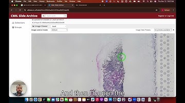 Fusion 2.0 Tutorial | Step-by-Step Guide