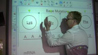 The genetic code