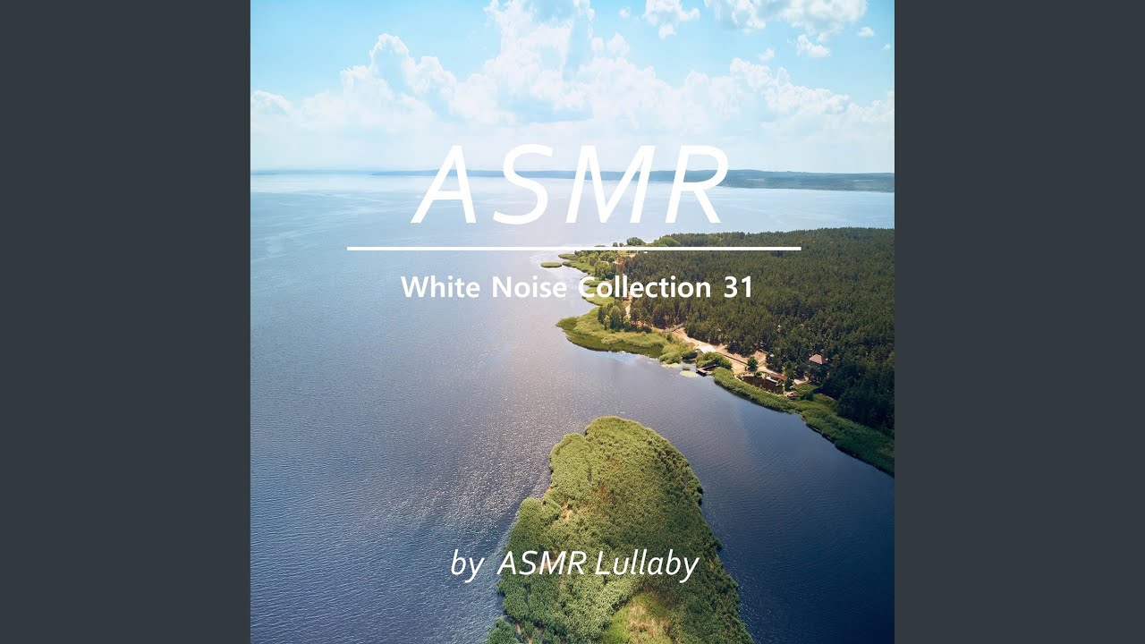 Birds Twitter and Breeze Wind Sound for Study