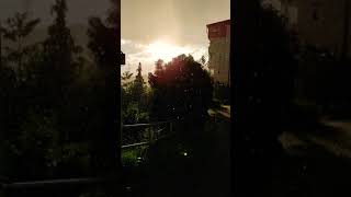 Yaz Yağmuru Alaplı - Zonguldak