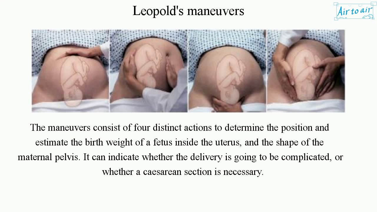 Leopold s Maneuvers YouTube