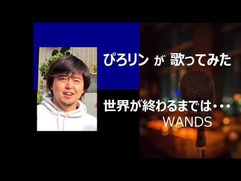 ぴろリンが歌ってみた  世界が終わるまでは