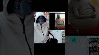 북방코끼리바다표범