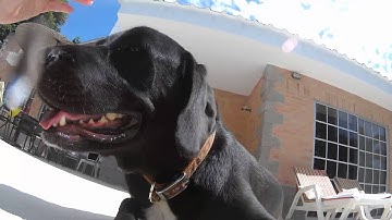 Polaroid Cube under the water