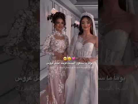 حبيبتي فوفو
