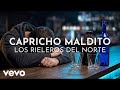 Los Rieleros Del Norte - Capricho Maldito (Visualizer)