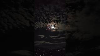 Talking To The Moon ,