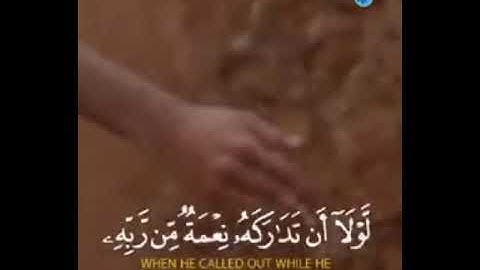 تلاوة 🎧 تفوق الوصف للقارئ إسلام صبحي _✨" فَاصْبِرْ لِحكْمِ رَبكَ وَلَا تَكُنْ كَصَاحبِ الْحُتِ " ..