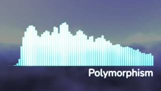Polymorphism (2020) Guide