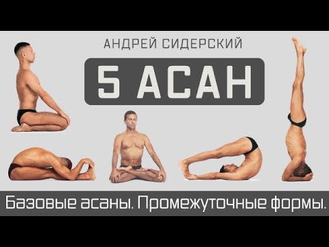 Промо | Базовые асаны. Промежуточные формы. Сидерский. 1-5