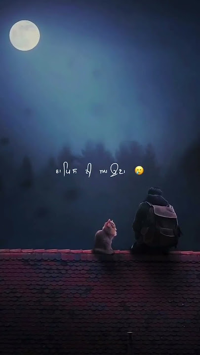 a Dil nu vi khabra tu va wapis ni aona sad status 😢😞 heart touching 😢💔 2033 love #status #trending