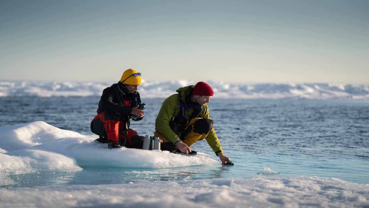 Arctic Sense 2021, Svalbard