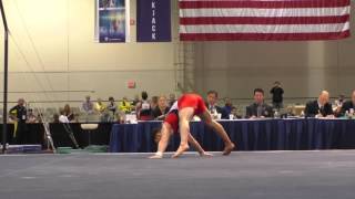 Michael Wilner - Floor Exercise - 2016 Winter Cup Prelims