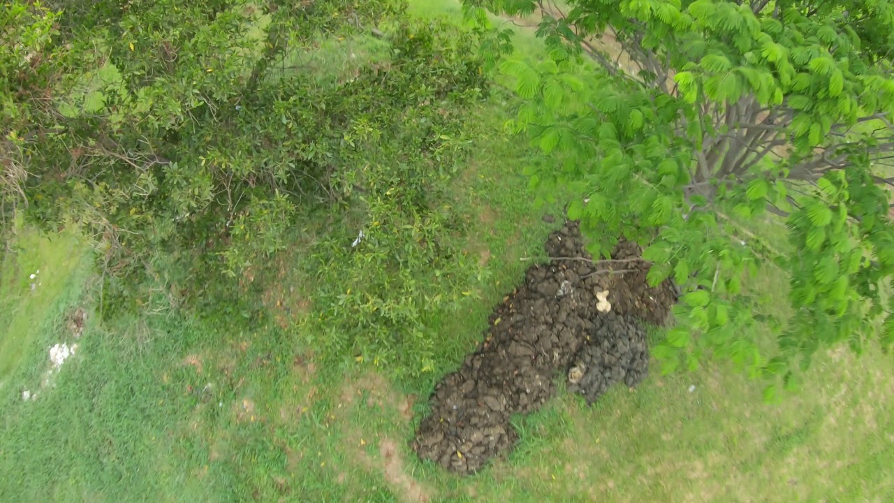 Hqprop Ethix P3 FPV freestyle solved propwash ?? 🔥🔥 