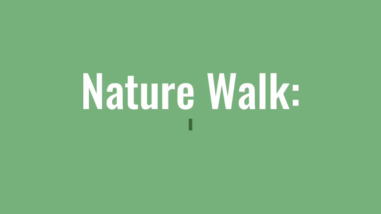 Nature Walk: Louisiana's Wetland Plants