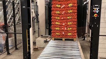1206 Onions Palletizing high-speed Rotax head