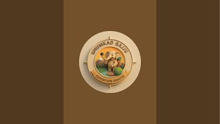 ghumakkad gajju is live
