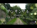 No 118 アンサンブル(歌詞入り)Ensemble【名曲シャンソンのご紹介 歌:E.ハリマ ピアノ伴奏:中村力(ピアノカラオケ)】