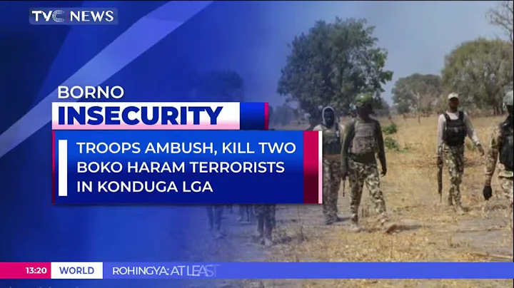 Two Boko Haram Terrorists Die In Ambush By Nigerian Troops In Borno State