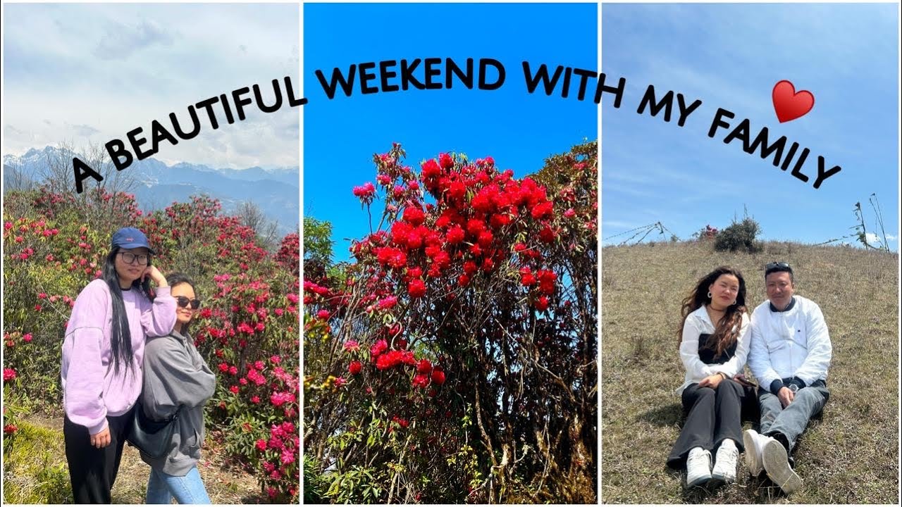 My 3rd Moto Vlog • First offroading experience 🛵😨😬Tom Hill is filled with rhododendrons 🌺 |