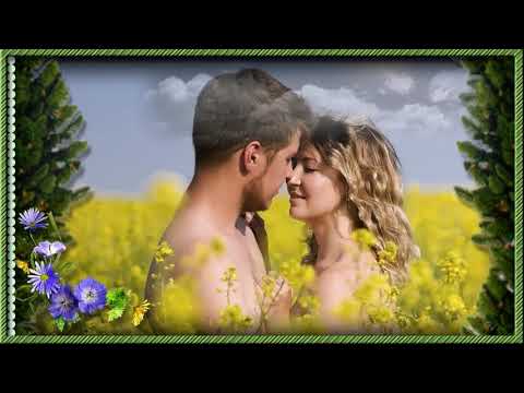 Лучшие новинки. Полевые цветы. Супер песня и красивое видео.