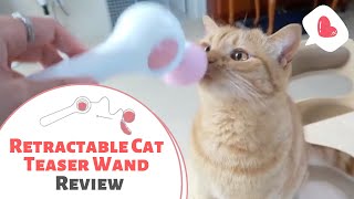 Retractable Cat Teaser Wand Review - A Fairy Wand for Cats by Petites Paws 955 views 3 years ago 1 minute, 28 seconds