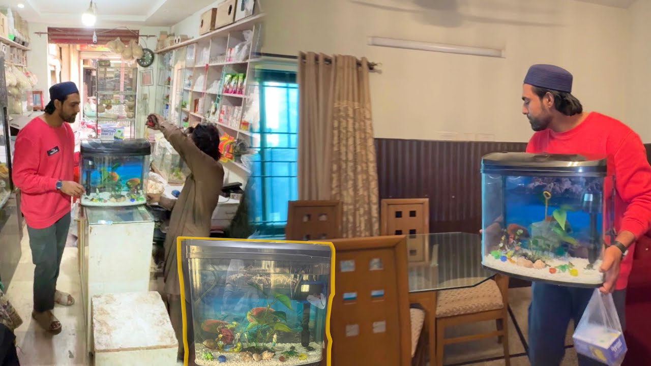 Ghr Kay Liey Chota Sa Cute Aquarium Lay Aya 🐠