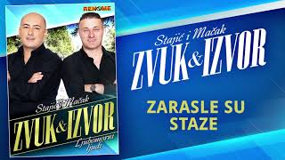Izvorna grupa Zvuk i izvor - Zarasle su staze (Audio 2020)