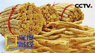 《深度财经》 中药材里的扶贫大文章 20180623 | CCTV财经