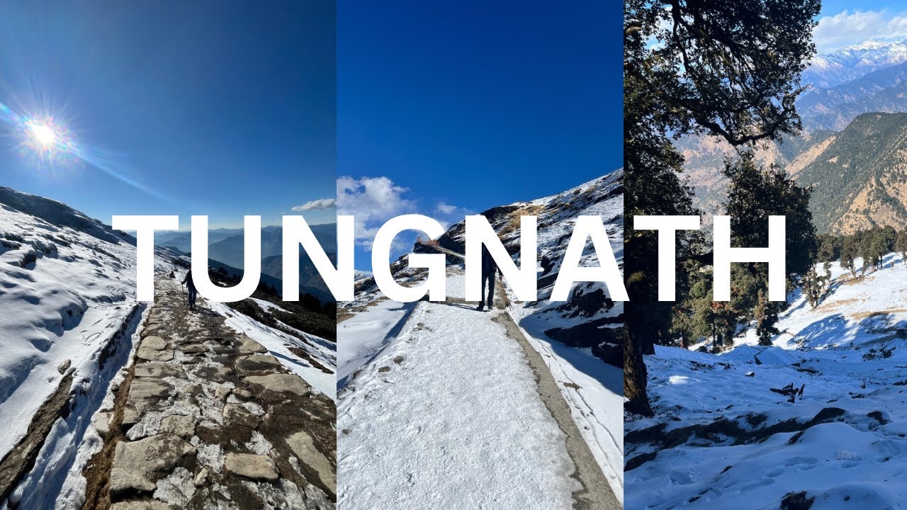 Tungnath Trek❄️ | Delhi to chopta | Exploring the world’s highest SHIVA TEMPLE ❄️🛕
