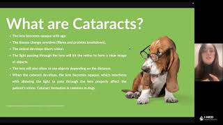 Dry Eye Episode #10 - What are Cataracts