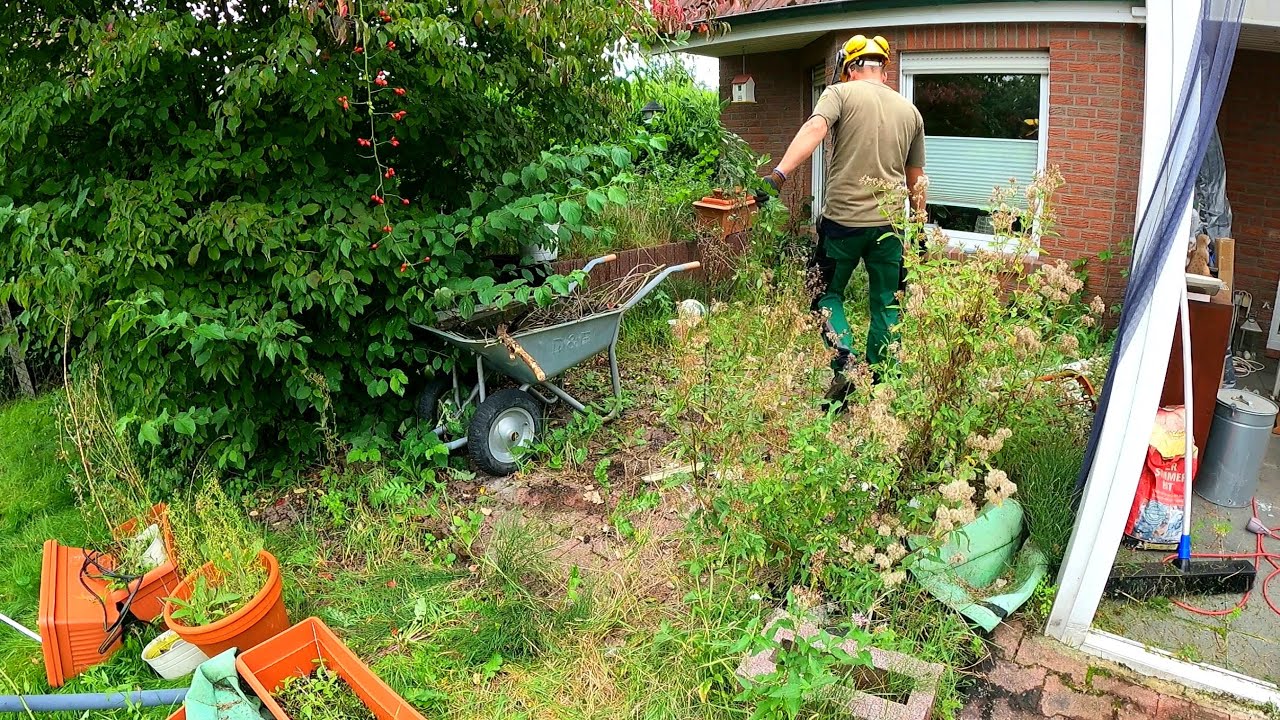 ⁣TRANSFORMING An Overgrown Yard That Has Been NEGLECTED For FOUR YEARS