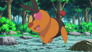 Pokemon Best Wishes Black and   White episode 4,5,6 best moments...