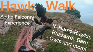 Settle Falconry Hawk Walk - Half Day Experience - GoPro Hero 7 Black - 4K - Slow Mo