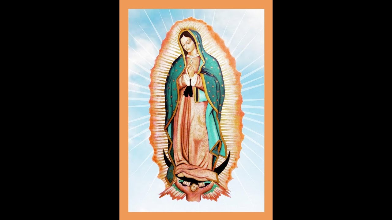 Desde el cielo una hermosa mañana - La Guadalupana - 12 de Diciembre
