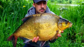 THE BREAM OF A LIFETIME