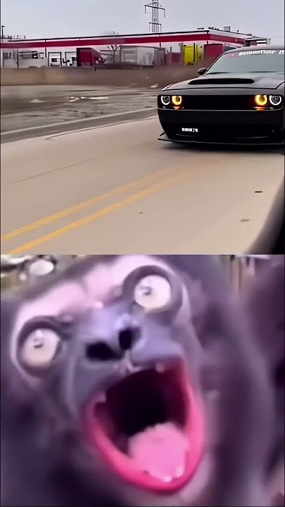 Dodge Challenger Hellcat Whine Sounds Like a Wild Animal #dodgecars #dodgechallenger #hellcat  #srt