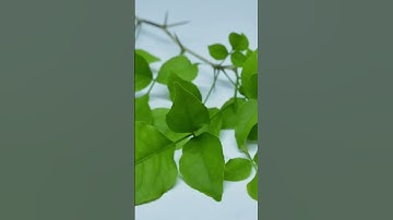 बहुत ज्यादा दुख है आपकी जिंदगी में तो यह उपाय करें।।#pandit_pradeep_ji_mishra