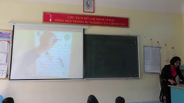 GVHD trò chơi cầu thang - cầu trượt