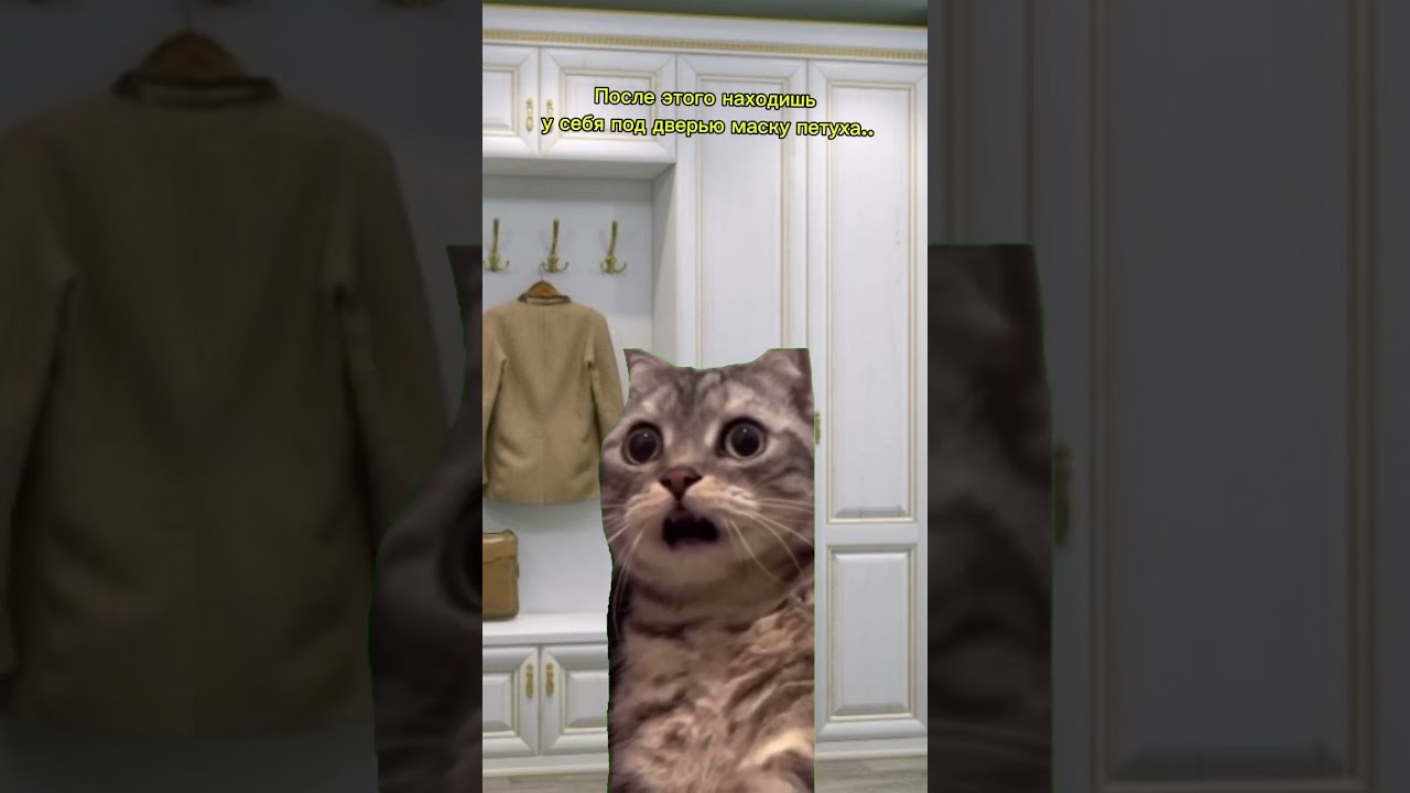 Кто понял отсылку?:) 