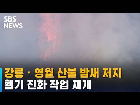 강릉 · 영월 산불 확산 밤새 저지…헬기 진화 작업 재개 / SBS