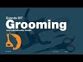 Grooming and Labradoodle Health-Blonde Brownies 7 Week Update