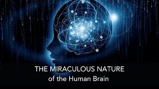 The Miraculous Nature of Our Brains | From A Peak Performance Neurology Specialist